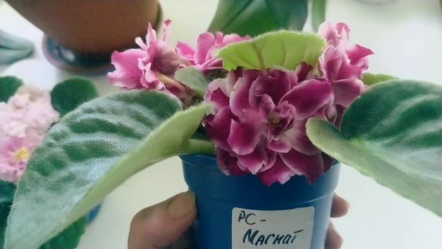 7 июня 2023 г. смотреть онлайн