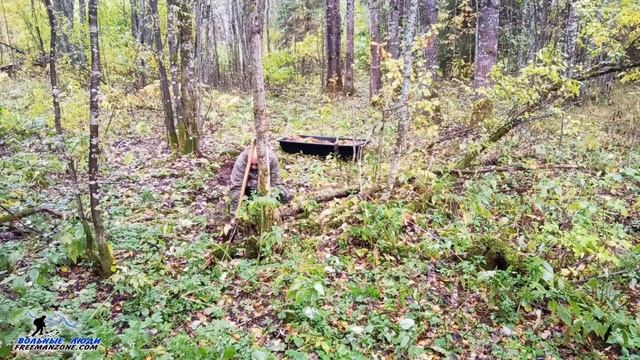 ГРИБЫ ОПЯТА ОСЕННИЕ. Грибница опят - перенос грибницы... или как вырастить свои грибы опята Бушкраф смотреть онлайн