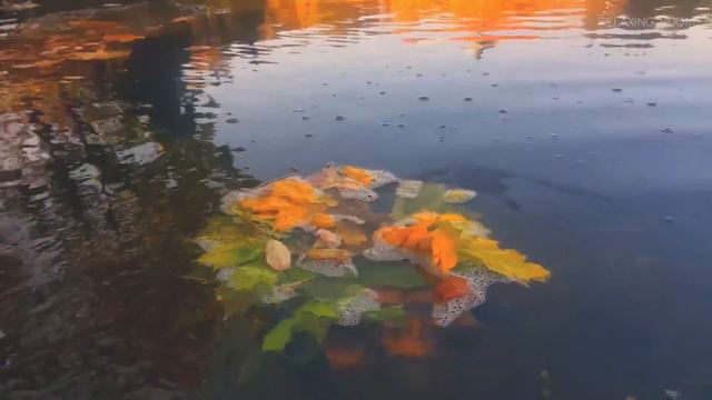 Я не боюсь... смотреть онлайн