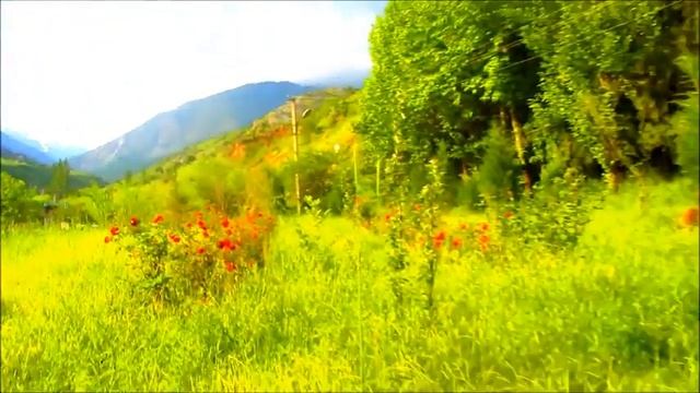 Нохияи турсунзода дехаи каратог