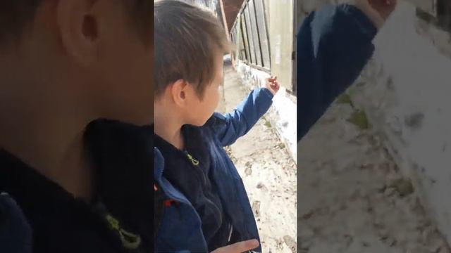 Обзор на Сыктывкар смотреть онлайн