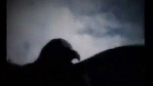 Чёрный ворон, я не твой!