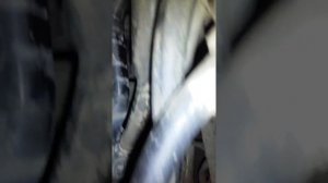 Subaru ej255 noise /стуки субару  ej255