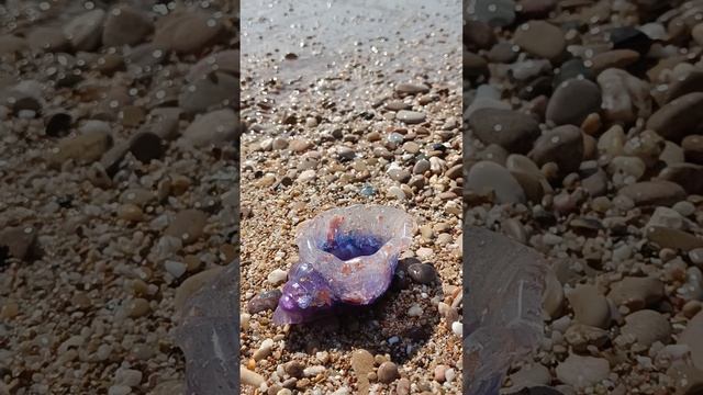 Ракушка из эпоксидной смолы смотреть онлайн