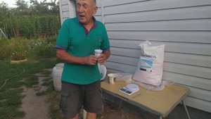 Внесение калийных удобрений под корень винограда.