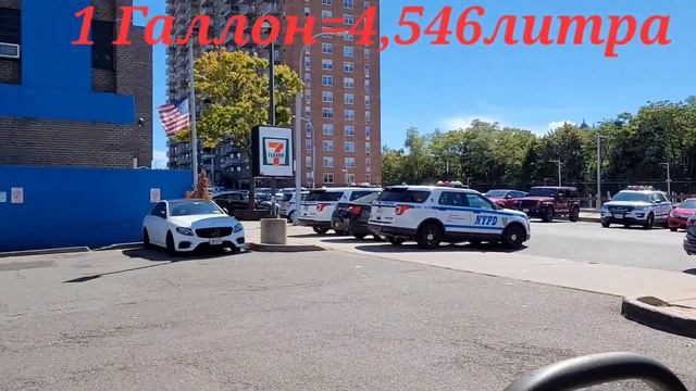 Сколько стоит бензин ⛽️ в Америке???/Нью-Йорк/Сентябрь 2022