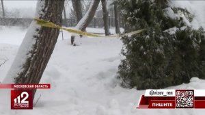 Подозреваемый в тройном убийстве под Москвой объявлен в розыск