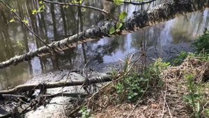 Эжектор Дипсис 2”(50мм) + мотопомпа 1,5л.с - Производственный архив.