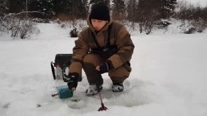 Зимняя рыбалка по первому льду на малой речке.Жерлицы.Плотва и окунь.