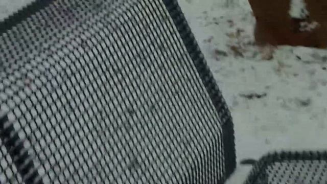 Nikon Coolpix L830 test video смотреть онлайн