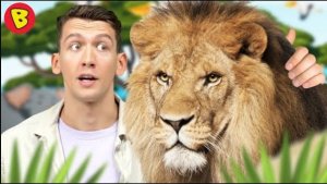 ЗООПАРК ДЛЯ ДЕТЕЙ. Джунгли, зайчики и белочки.