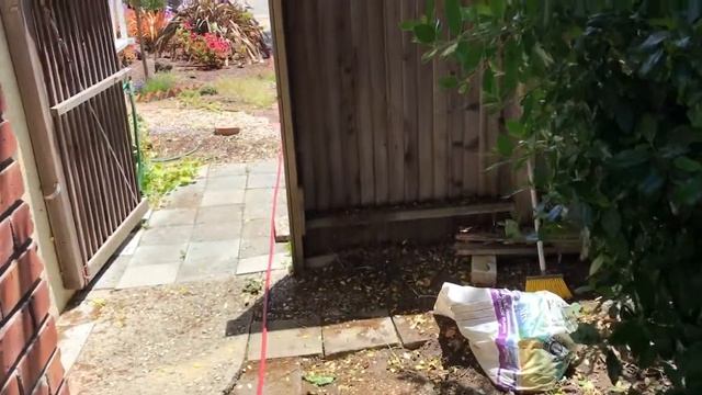 Заканчиваем борьбу с термитами, начинаем с электропроводкой. смотреть онлайн