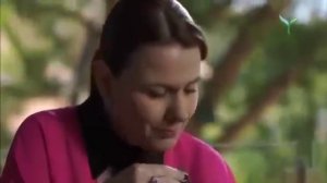 Ишк Сохиллари 12- кисм ( Узбек тилида). Ishq Soxillari 12-qism (o'zbek tilida)