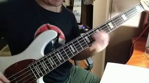 Жанна Агузарова- Индустрия bass cover