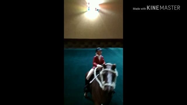 Типы лошадей ;) смотреть онлайн