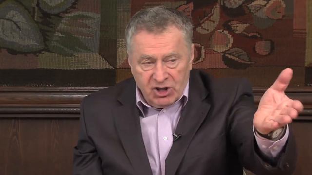 Жириновский и Стариков смотреть онлайн