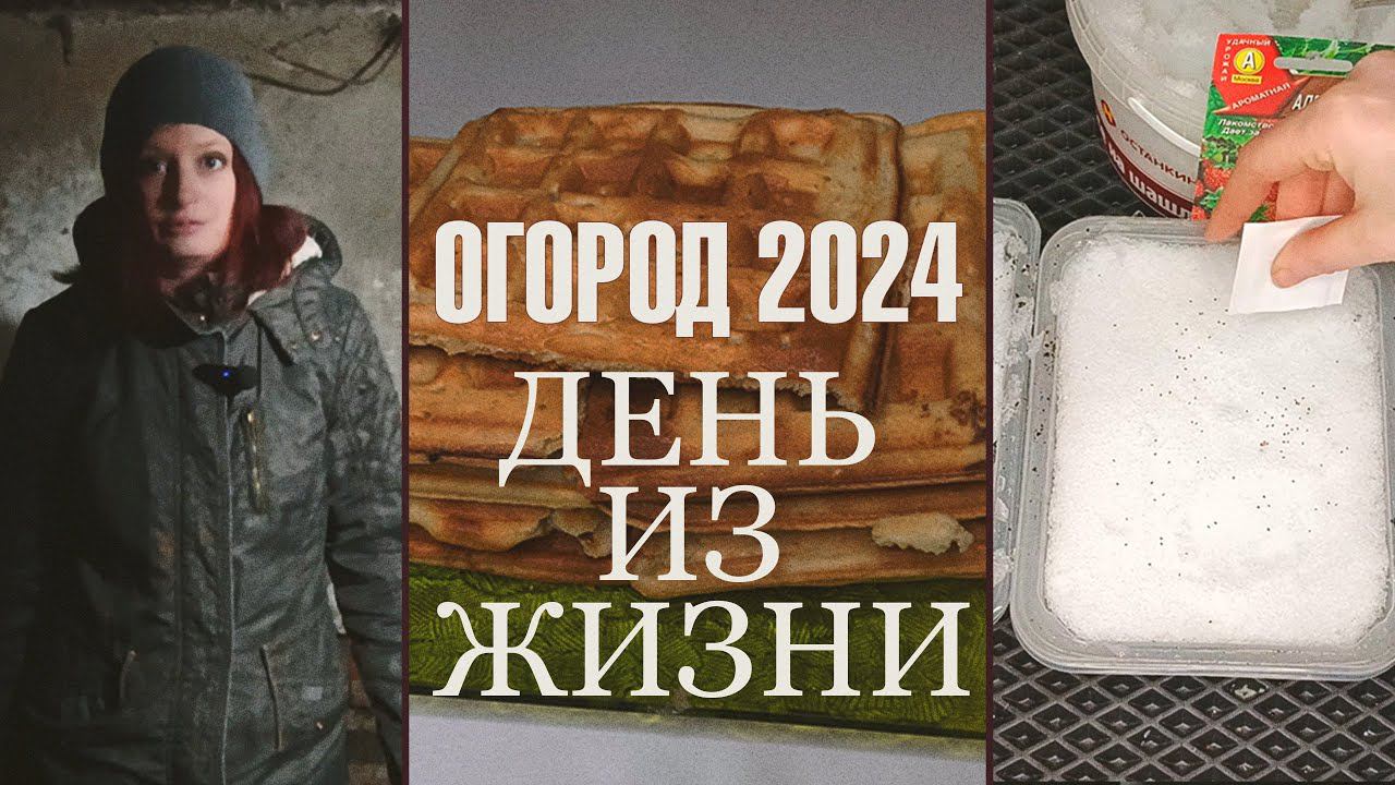 День из жизни в деревне  Открытие сезона: Огород 2024   Земляника из семян