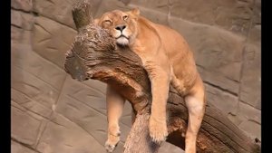 Плохая энергетика человека.  Надо что то делать!