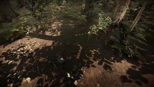 ПЕРВЫЙ ВЗГЛЯД   Awakened Dark Space  Нищита за 2 рубля