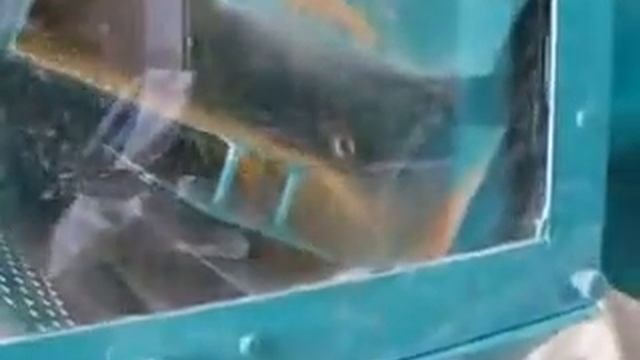 Оборудование для производства любых видов круп