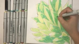 В этом ролике я научу вас рисовать суккулент! In this video, I will teach  how to draw a succulent!