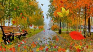 Непокорная!