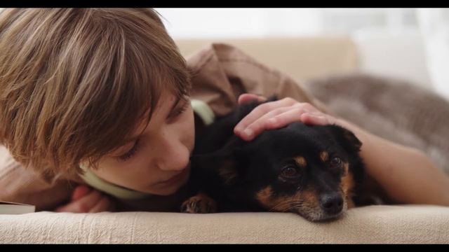 Зачем собаке нужен хозяин / наука о собаках смотреть онлайн