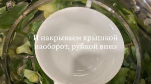 Гидролат Алоэ!