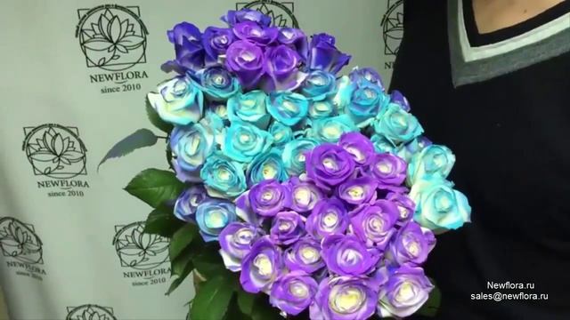 Розы хамелеоны! Цветы, меняющие цвет от смены температуры! Купить в спб и мск с доставкой по РФ смотреть онлайн