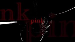 Pink Anderson/Floyd Council