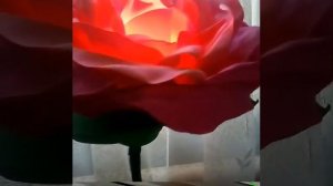 Светильник Роза из фоамирана