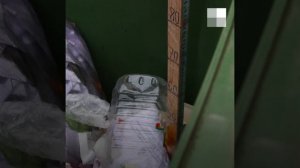 На мусорку — с линейкой. Как измерить объем мусора | 63.RU