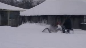 Гусянки с мотоблоком Агро