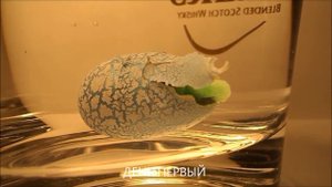 ДИНОЗАВР ДРАКОН ИЗ ЯЙЦА В ВОДЕ с AliEkspress Обзор Купить