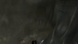 Tomb Raider. Испытание в Пещерах. Поджигатель