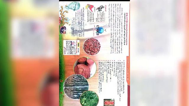 Just Rs.625 Per Sqyard Red Sandal Plantation in 100 Acres смотреть онлайн