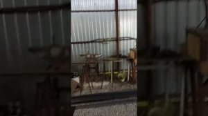 покраска ограждения. краска супер.