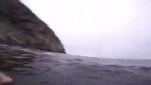 акула мако!!!!!!!! Наподает