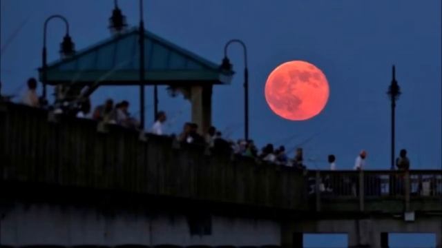 "Луна сошла с орбиты. Луна падает. Луна улетает от Земли." Новый фейк запущен. смотреть онлайн