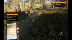 Как изменить язык the Hunter Call Of The Wild Эпик Геймс Epic русификатор