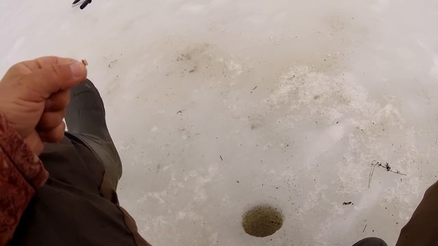 Рыбалка 24 февраля на реке.