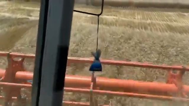 Уборка. Гром по пару. Урожайность 90+. 08.07.2022. ООО«Кировский конный завод». Телеграмм - Фугусти смотреть онлайн