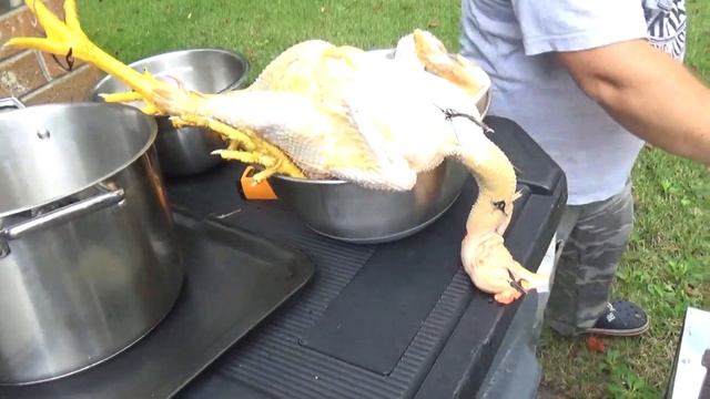 перосъемная машина китайская 60 диаметр. смотреть онлайн