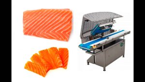 Горизонтальный слайсер 1-FQ200 для нарезки филе рыбы