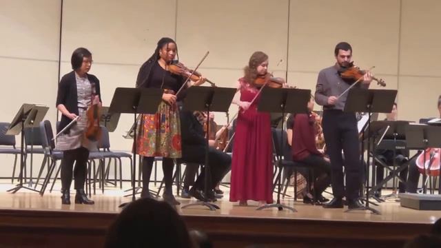 Vivaldi for 4 violin Concertos in B Minor 1st Movement