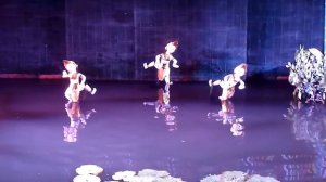 Вьетнамский кукольный театр на воде...