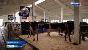 Репортаж с открытия фермы