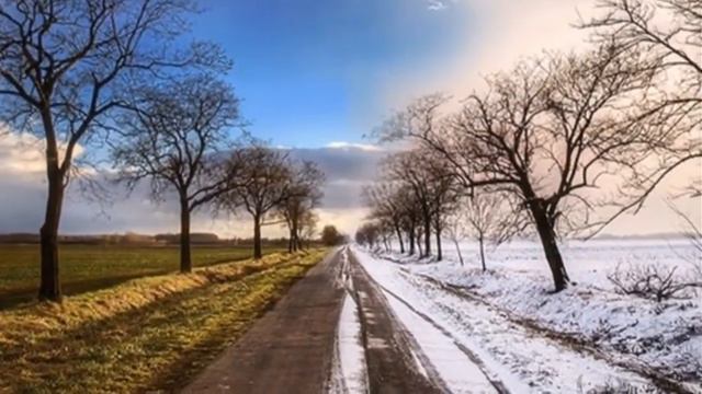 Виктор Попков (бас). Романс «На нивы жёлтые». Музыка П. И. Чайковский. Стихи А. К. Толстой. смотреть онлайн