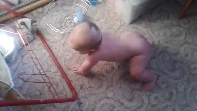 борьба человека и кошки за зайца смотреть онлайн