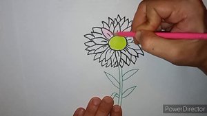 HOW TO DRAW AND COLOR A FLOWER ASTER //КАК НАРИСОВАТЬ И ПОКРАСИТЬ ЦВЕТОК АСТРУ